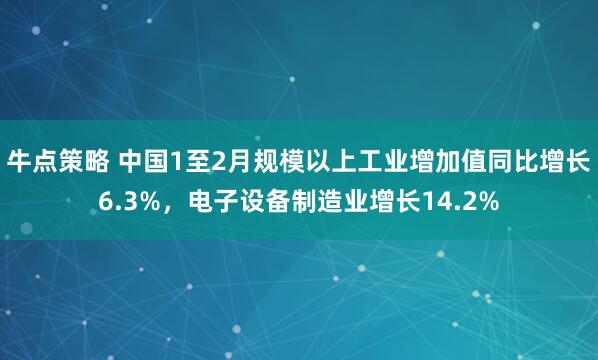 牛点策略 中国1至2月规模以上工业增加值同比增长6.3%，电子设备制造业增长14.2%