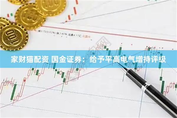 家财猫配资 国金证券：给予平高电气增持评级