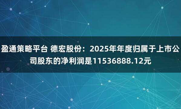 盈通策略平台 德宏股份：2025年年度归属于上市公司股东的净利润是11536888.12元