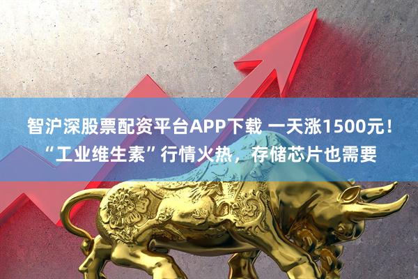 智沪深股票配资平台APP下载 一天涨1500元!“工业维生素”行情火热,存储芯片也需要
