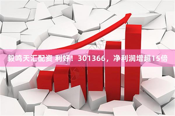 毅鸣天汇配资 利好!301366,净利润增超15倍