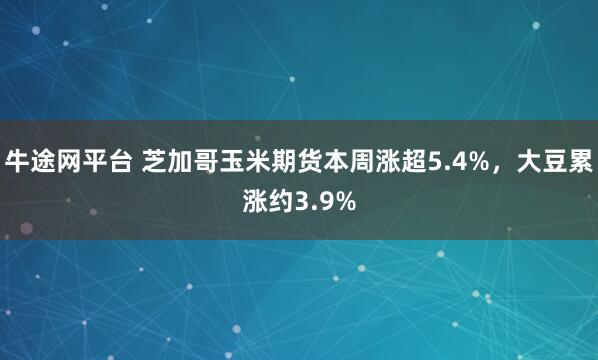 牛途网平台 芝加哥玉米期货本周涨超5.4%，大豆累涨约3.9%